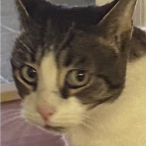 Meet your Posher, Jack